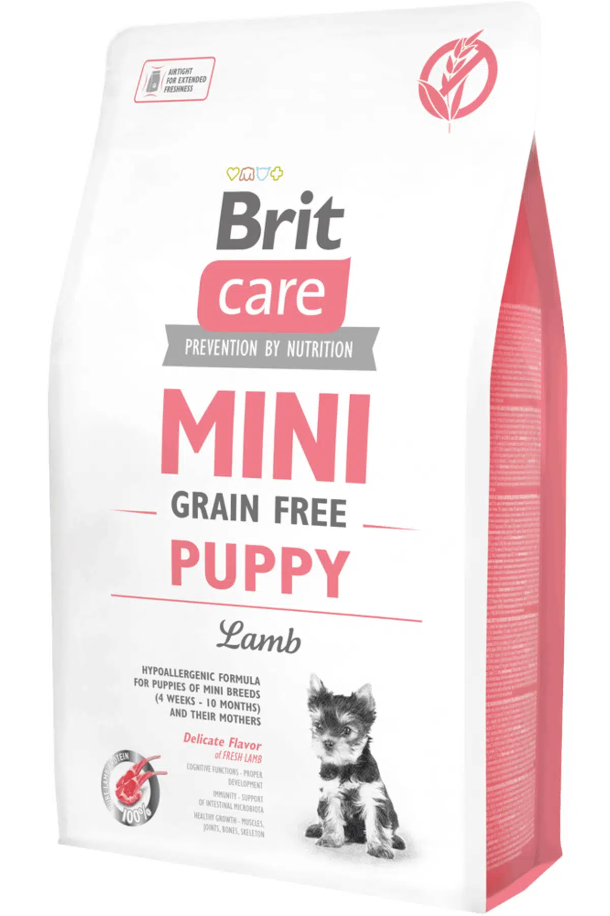 Brit Care Tahılsız Kuzu Etli Mini Irk Yavru Köpek Maması 2 Kg
